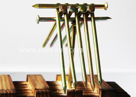 QQ图片20150401182031.png