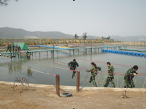 QQ图片20150401182530.png