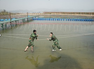 QQ图片20150401182546.png