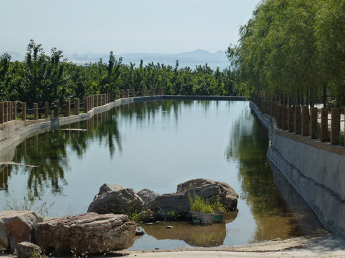 P1000236_副本.jpg