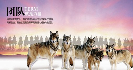 QQ图片20150423143846.png